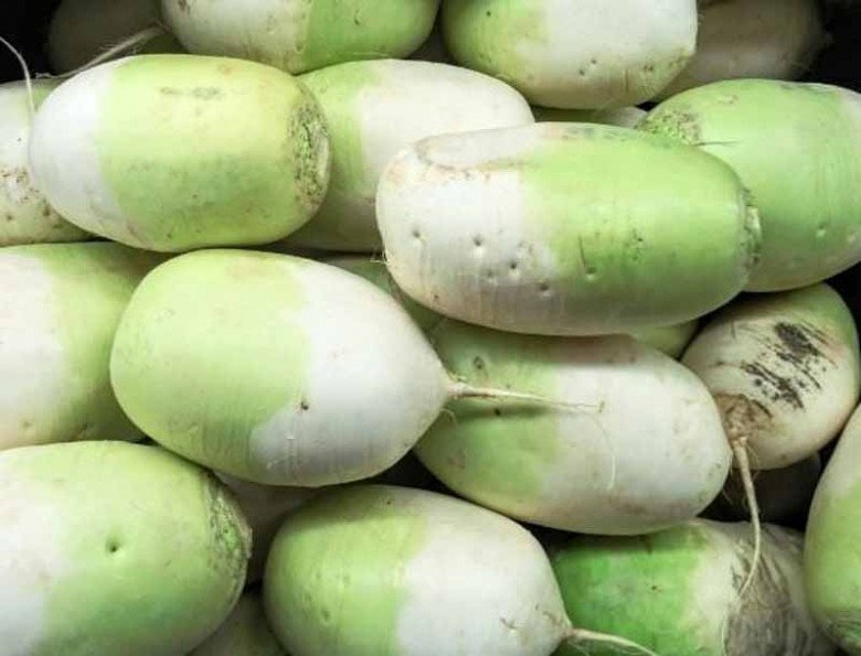 Củ này người Nhật ví là “chìa khóa” trường thọ, chợ bán 30.000đ/kg, nấu với quả giàu canxi gấp đôi dinh dưỡng - Ảnh 1. Củ này người Nhật ví là “chìa khóa” trường thọ, chợ bán 30.000đ/kg, nấu với quả giàu canxi gấp đôi dinh dưỡng - Ảnh 1.