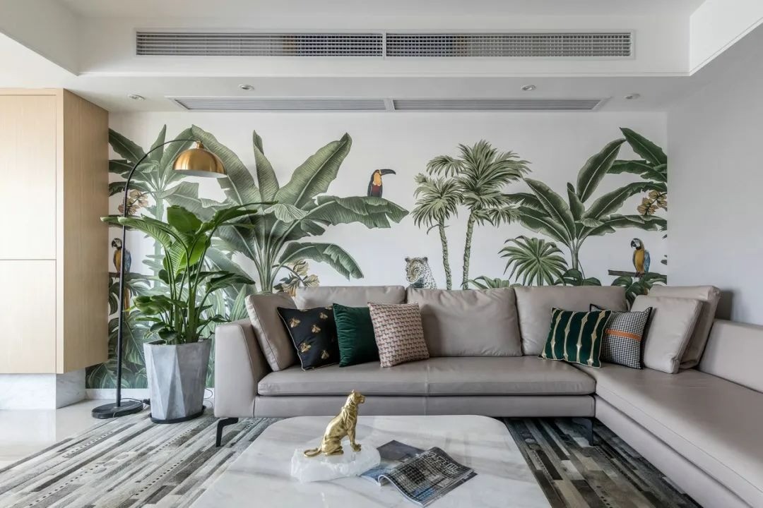 8 cây cảnh khí chất, phù hợp với gia đình hiện đại, dưỡng người, trấn nhà, thu hút tài lộc - Ảnh 12.