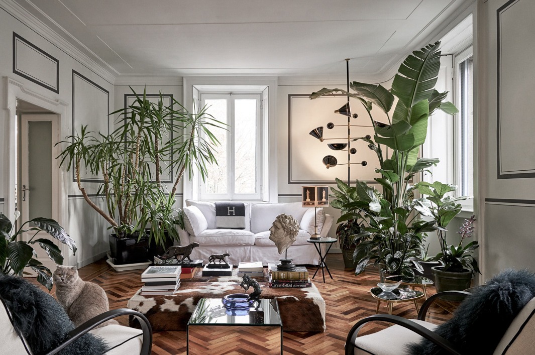 8 cây cảnh khí chất, phù hợp với gia đình hiện đại, dưỡng người, trấn nhà, thu hút tài lộc - Ảnh 11.