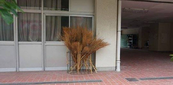 Loại vật dụng “xua đuổi tà khí” này nếu đặt đúng sẽ vượng tài lộc, nhưng nếu đặt sai cẩn thận hao tài - Ảnh 2. Loại vật dụng “xua đuổi tà khí” này nếu đặt đúng sẽ vượng tài lộc, nhưng nếu đặt sai cẩn thận hao tài - Ảnh 2.