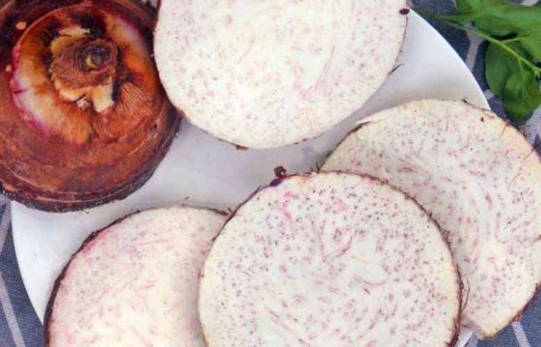 Củ này có giá 25.000đ/kg, người Nhật gọi là “củ trường sinh”, nấu lên ăn ngon hơn thịt lợn, vừa dọn ra đã hết sạch - Ảnh 2.