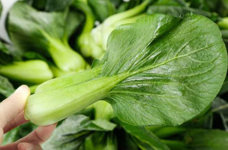 Xào rau kiểu nào cũng bị vàng úa, ra nước, đầu bếp có 3 tuyệt chiêu giúp rau xanh mướt, giòn ngon - Ảnh 4. Xào rau kiểu nào cũng bị vàng úa, ra nước, đầu bếp có 3 tuyệt chiêu giúp rau xanh mướt, giòn ngon - Ảnh 4.