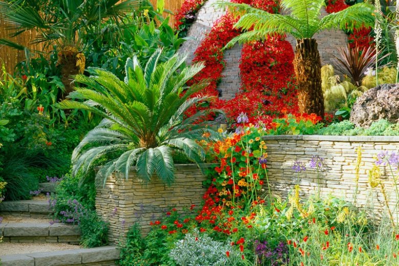 Nhà giàu thích trồng 5 cây cảnh độc lạ, bá đạo, giúp chiêu may, phát lộc, trấn trạch, giữ nhà- Ảnh 10.