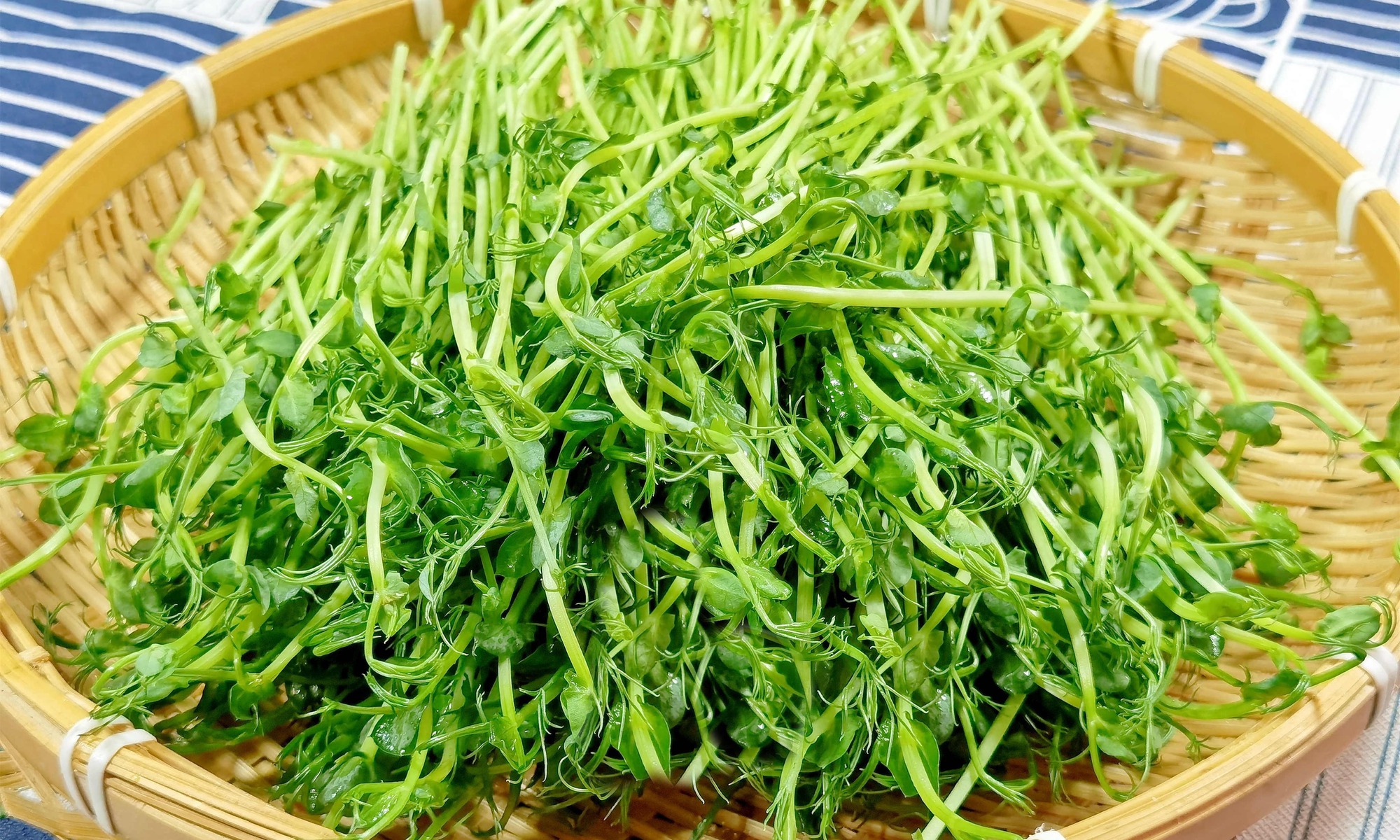 Loại rau "vàng xanh" cực bổ dưỡng, hương vị độc đáo, làm món trộn thanh mát, ngon miệng - Ảnh 1.