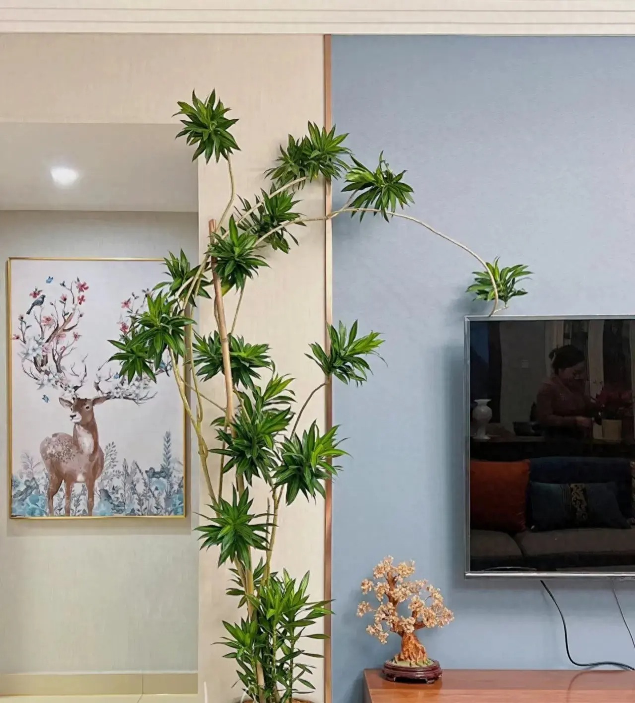 Cây cảnh chẳng phải tre, không phải huệ, tràn đầy sức sống, mang cát tường, bình an cho gia đình- Ảnh 6. Cây cảnh chẳng phải tre, không phải huệ, tràn đầy sức sống, mang cát tường, bình an cho gia đình- Ảnh 6.