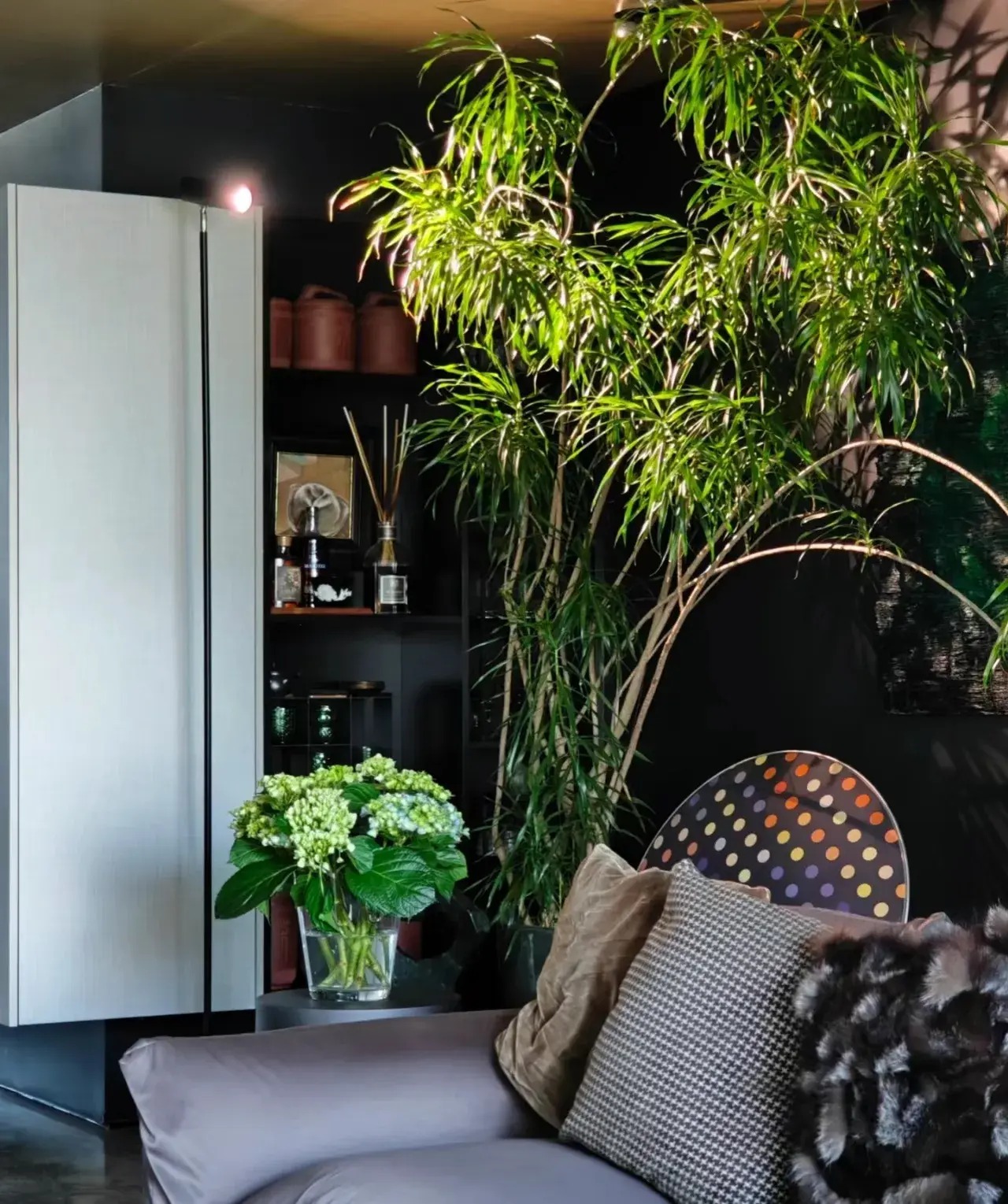 Cây cảnh chẳng phải tre, không phải huệ, tràn đầy sức sống, mang cát tường, bình an cho gia đình- Ảnh 3. Cây cảnh chẳng phải tre, không phải huệ, tràn đầy sức sống, mang cát tường, bình an cho gia đình- Ảnh 3.