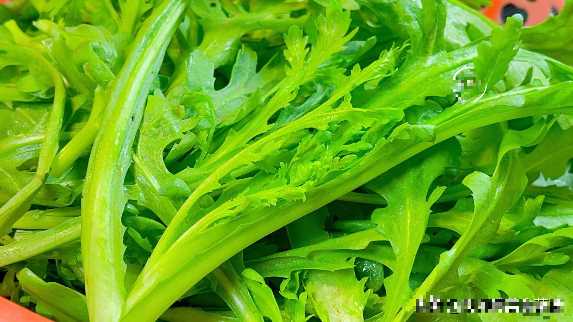 Loại rau an thần, dưỡng tâm, bổ sung năng lượng cho não, trộn với tỏi phi vừa thơm vừa ngọt- Ảnh 1.