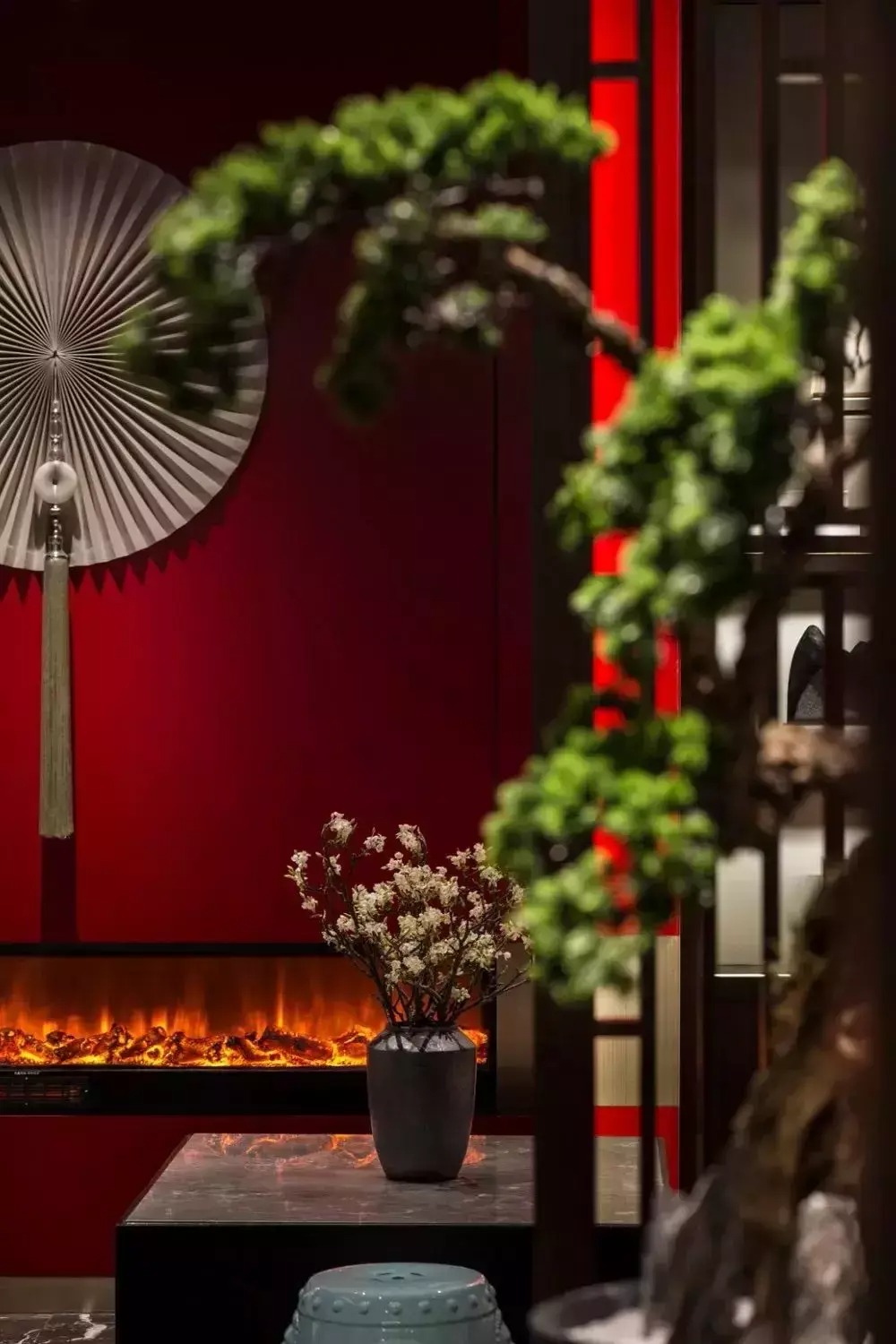 Người già dặn: Tết Nguyên đán, đặt 6 cây cảnh này trong nhà, Thần Tài sẽ tìm đến gia đình- Ảnh 7.