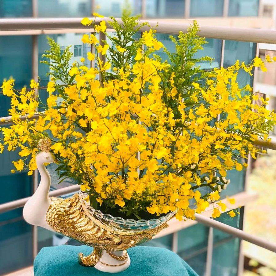 Người già dặn: Tết Nguyên đán, đặt 6 cây cảnh này trong nhà, Thần Tài sẽ tìm đến gia đình- Ảnh 5.