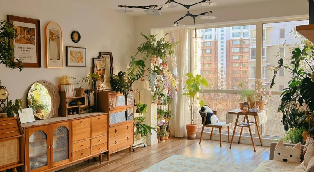 Trước Tết, 6 loại cây cảnh nên "chia tay", đón năm mới rực rỡ, sức khỏe dồi dào, tài lộc viên mãn- Ảnh 1.