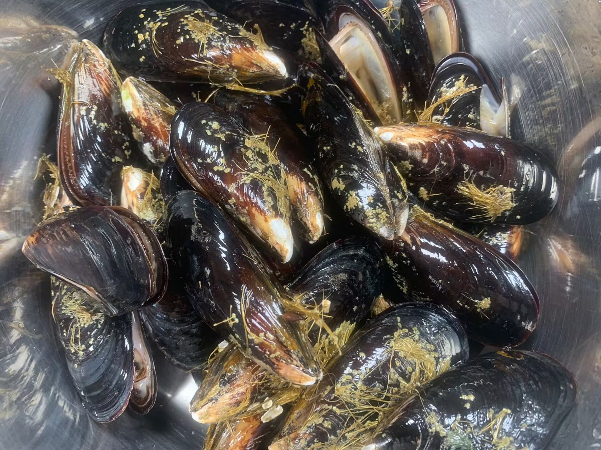 "Vua bổ thận" giá rẻ, thường xuyên ăn cứng xương, dưỡng huyết, tráng trứng ăn cực thơm ngon - Ảnh 2.