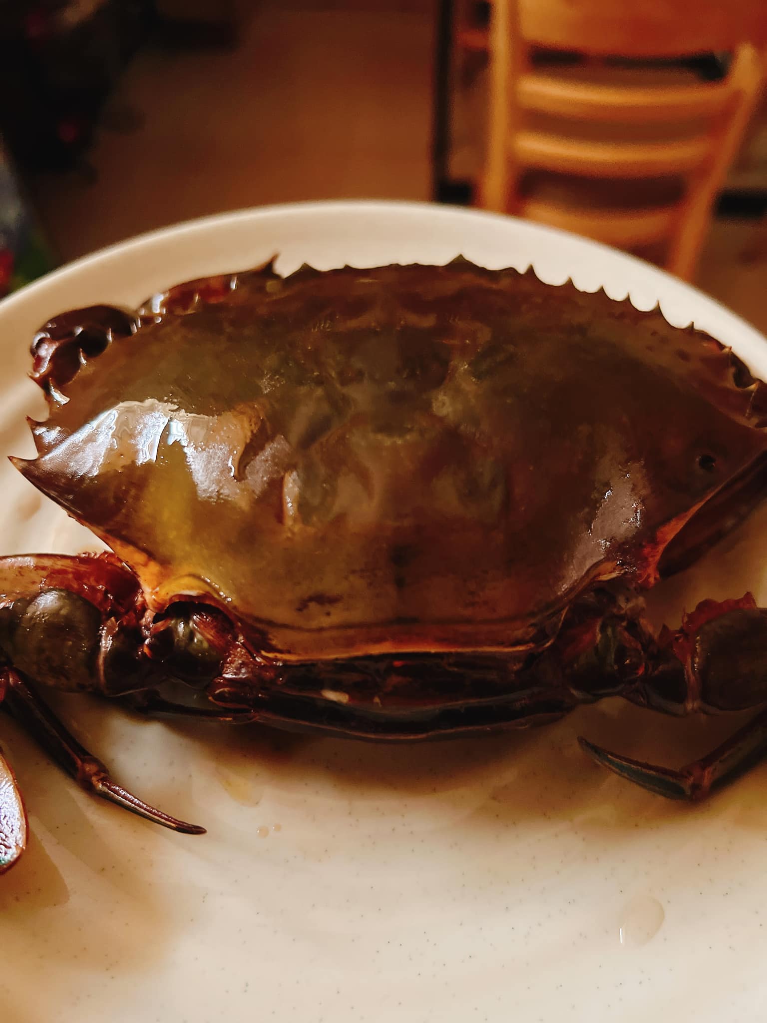 Loại thịt "thượng hạng" đem sốt với loại quả gia vị xanh chua gắt, chín ngọt lịm vừa ngon vừa bổ- Ảnh 2.