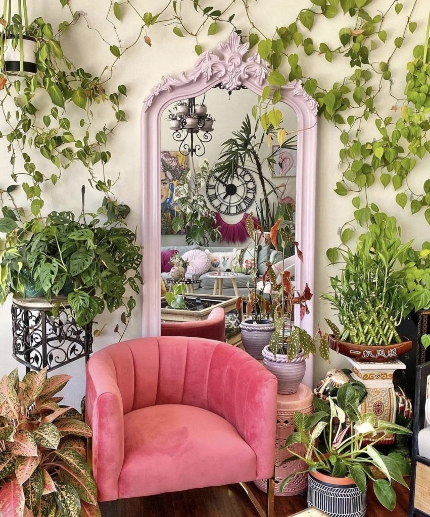 Tết Nguyên đán 2024 sắp đến, trồng cây cảnh theo cách này để xua đuổi xui xẻo, mang lại tài lộc- Ảnh 3.