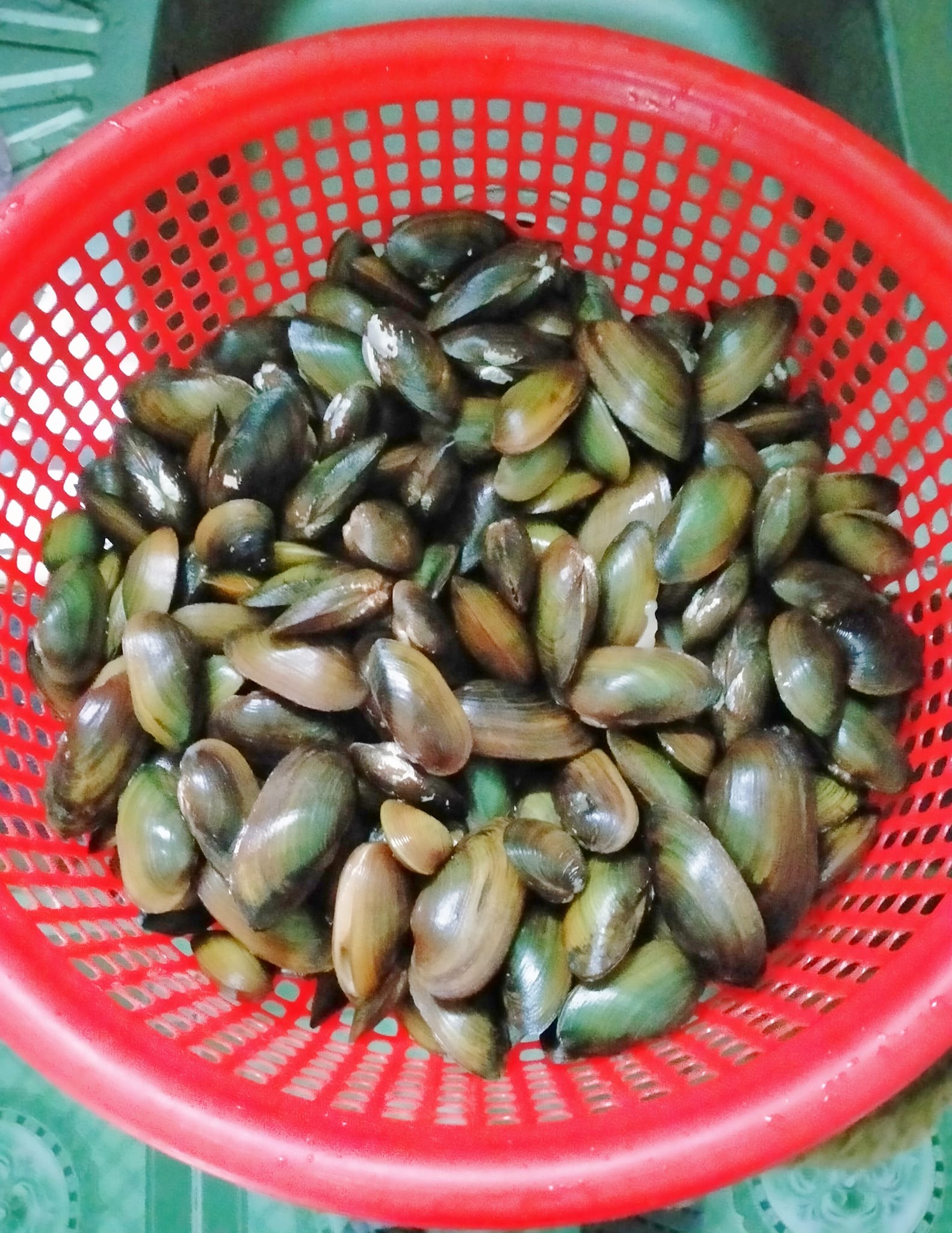 Loại thịt "kích thích thèm ăn", xào cay làm món ngon bổ sung năng lượng, ấm sực mùa đông- Ảnh 1. Loại thịt "kích thích thèm ăn", xào cay làm món ngon bổ sung năng lượng, ấm sực mùa đông- Ảnh 1.