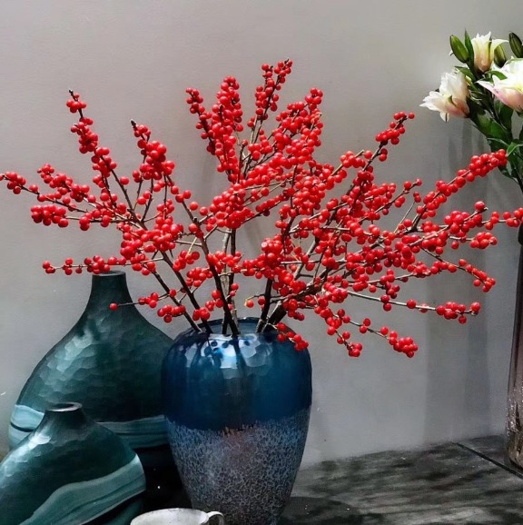 Tết Nguyên đán 2024 đặt trong nhà 9 cây cảnh đỏ rực, năm mới đầy nhà vàng ngọc, phúc lộc dồi dào - Ảnh 14.