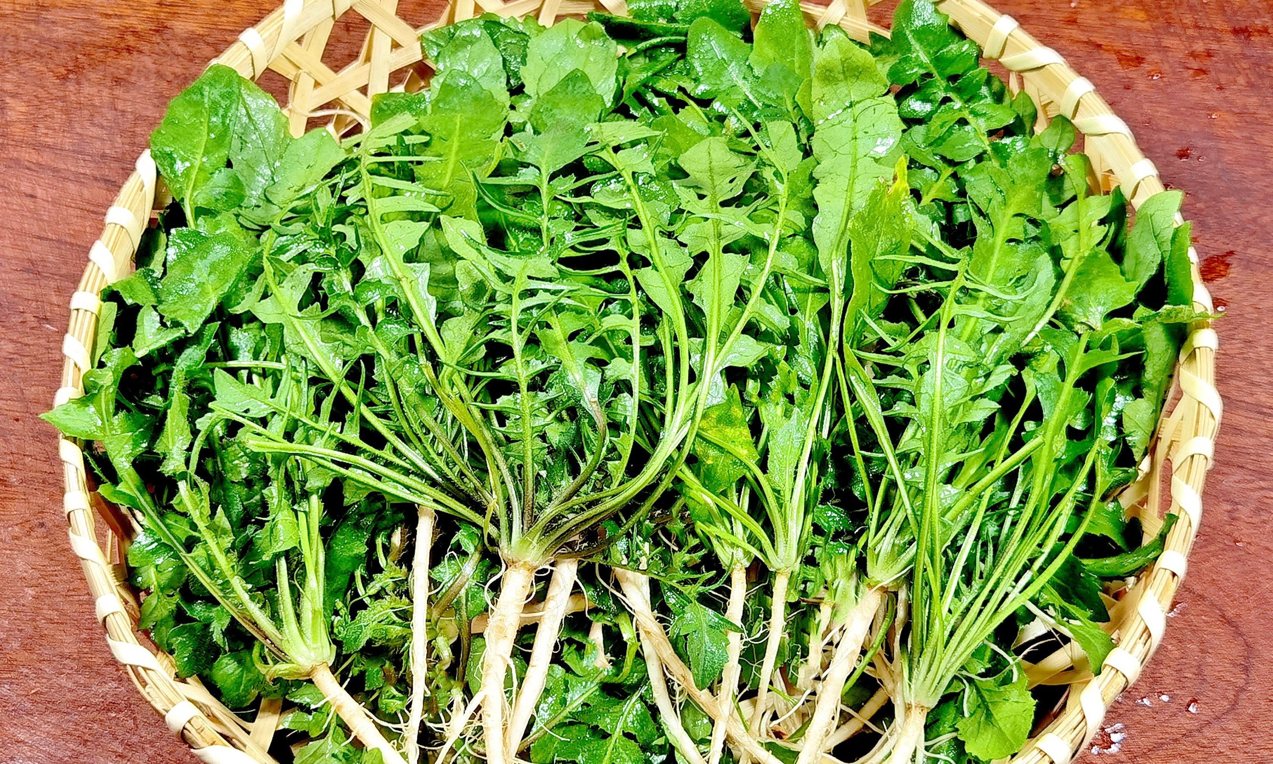 Loại rau dại tươi mới đầu tiên của mùa xuân, bổ hơn bắp cải, bổ hơn tỏi tây, làm bánh rất ngon- Ảnh 2.