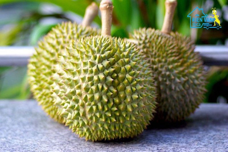 Sai lầm cần tránh khi bày mâm ngũ quả ngày Tết, đặc biệt điều 3, 4 chị em nên nhớ!- Ảnh 5. Sai lầm cần tránh khi bày mâm ngũ quả ngày Tết, đặc biệt điều 3, 4 chị em nên nhớ!- Ảnh 5.