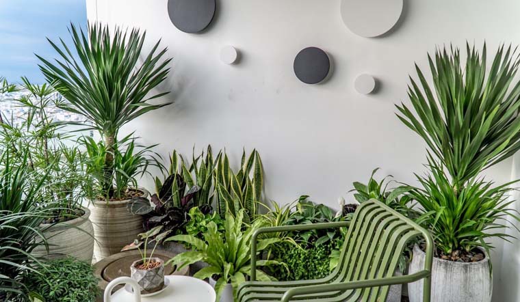 Dọn ban công nhớ nguyên tắc “6 thứ nên vứt – 2 thứ nên đặt”, Thần Tài sẽ đến nhà, gia đình phát tài- Ảnh 4.