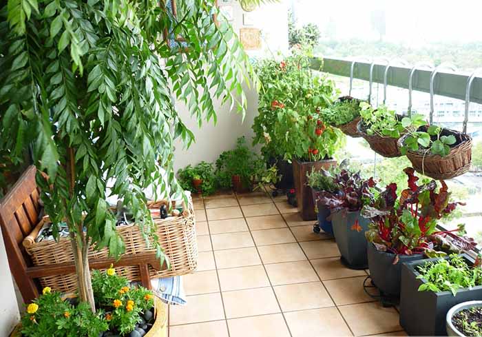 Dọn ban công nhớ nguyên tắc “6 thứ nên vứt – 2 thứ nên đặt”, Thần Tài sẽ đến nhà, gia đình phát tài- Ảnh 3.