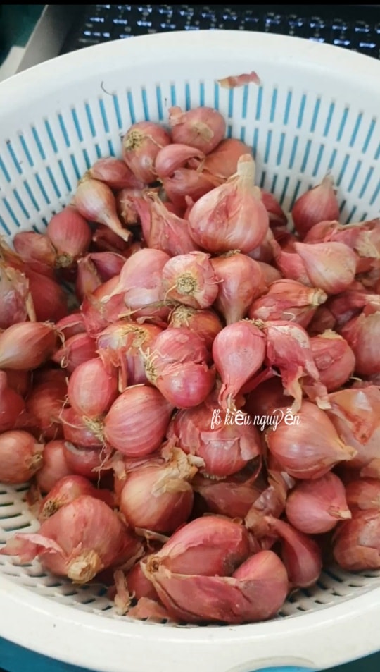 Loại củ bé tí không thể thiếu trong mọi nhà, chế biến thành món đặc biệt giúp tăng hương vị - Ảnh 1. Loại củ bé tí không thể thiếu trong mọi nhà, chế biến thành món đặc biệt giúp tăng hương vị - Ảnh 1.