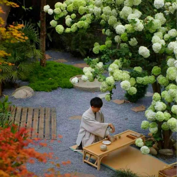 Cây cảnh cát tường, hoa trắng như tuyết, lá xanh tựa ngọc, hút lộc, chiêu may cho gia đình- Ảnh 6.