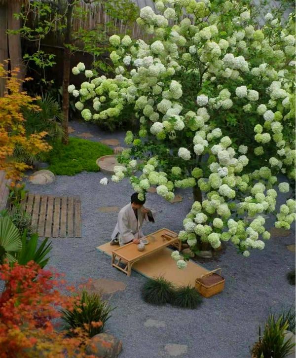 Cây cảnh cát tường, hoa trắng như tuyết, lá xanh tựa ngọc, hút lộc, chiêu may cho gia đình- Ảnh 13.