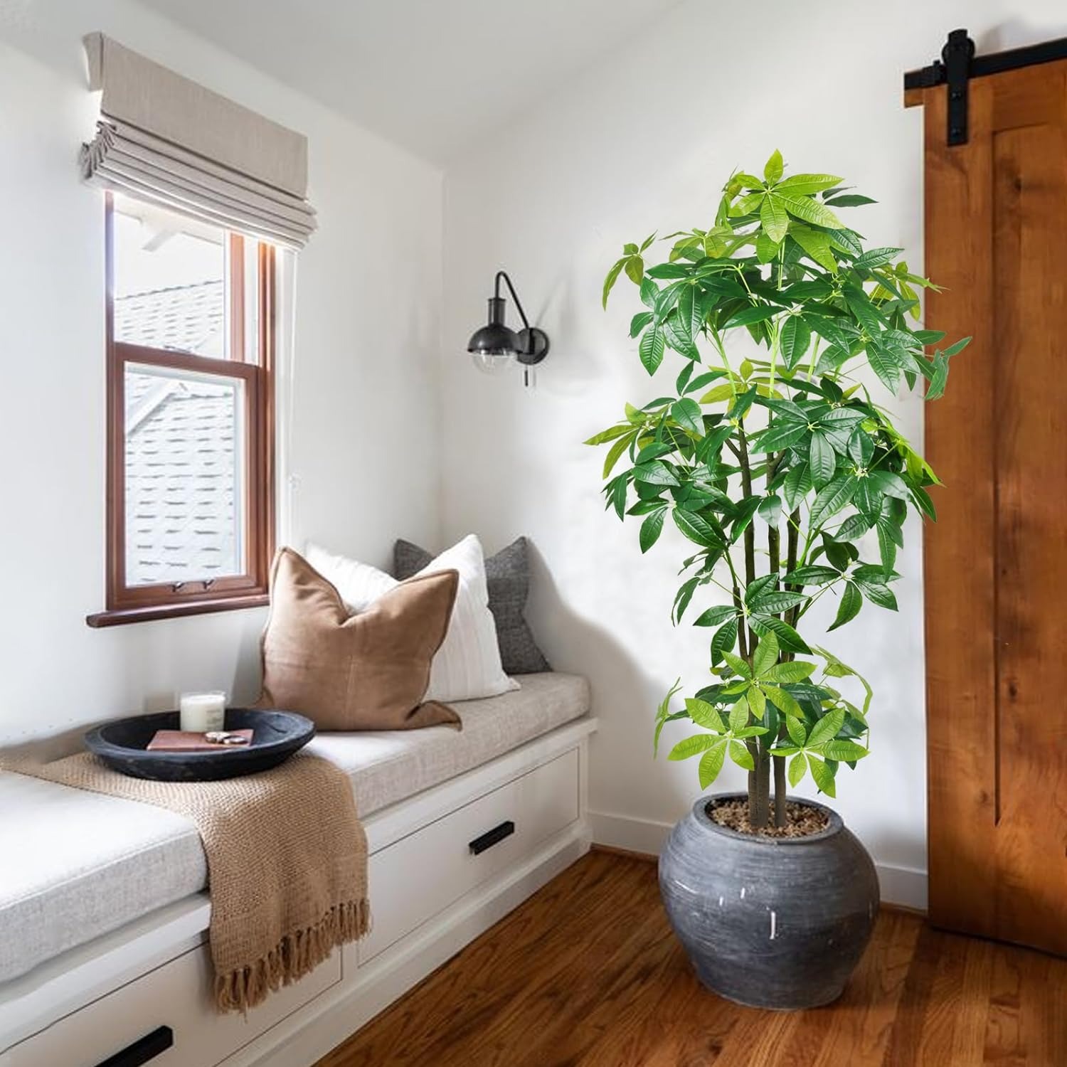 Người xưa nói: "Trong nhà có 3 cây cảnh, phú quý, phúc lộc theo về" - Ảnh 5.