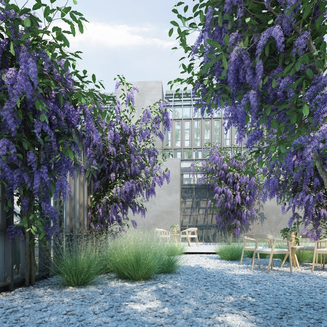 Cây cảnh hoa xanh biếc, quả vàng rực, đẹp như mơ, xứng đáng là "vị thần" giữ của cho gia đình- Ảnh 8.