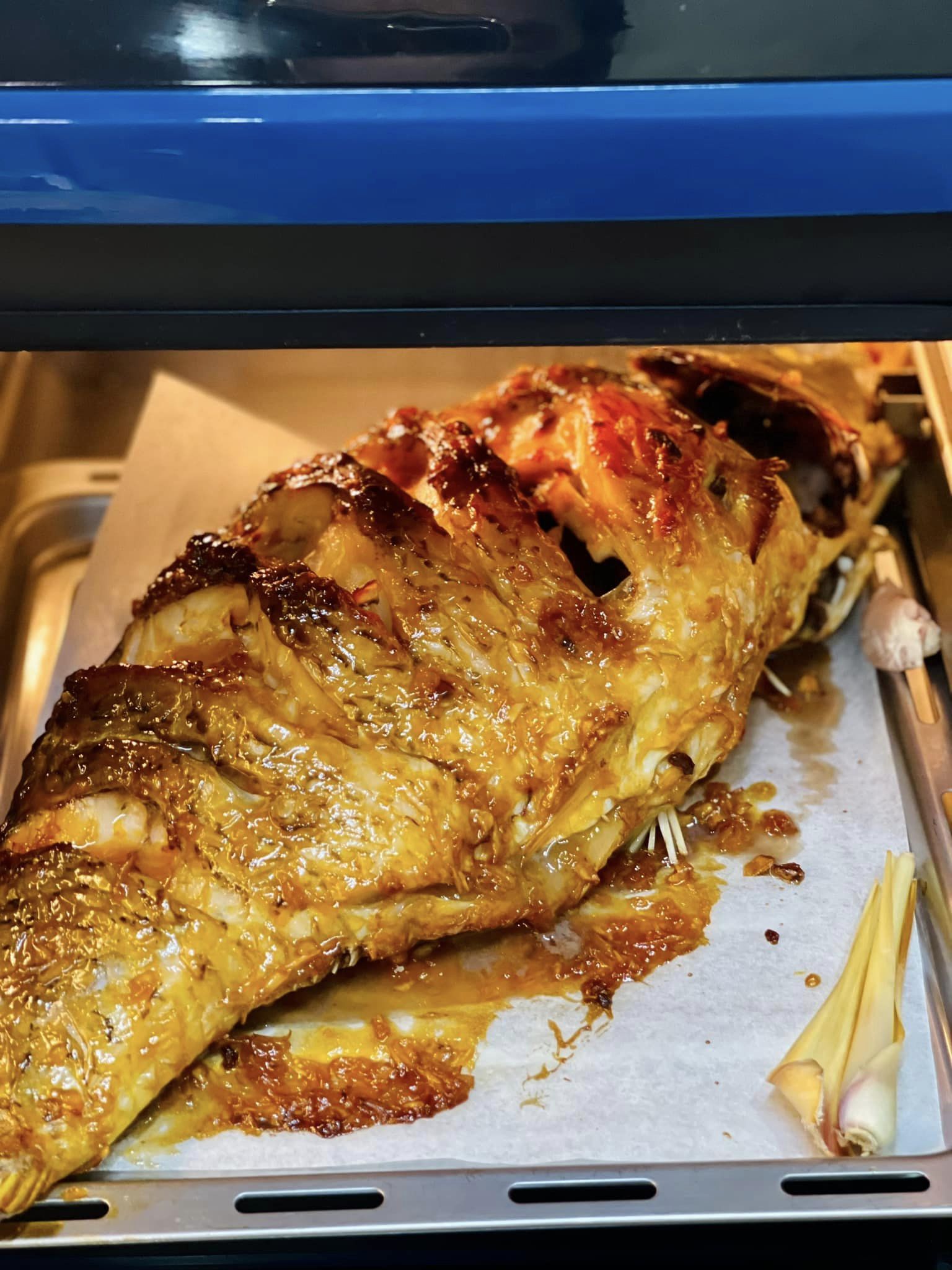 Loại cá giá rẻ được ví như 