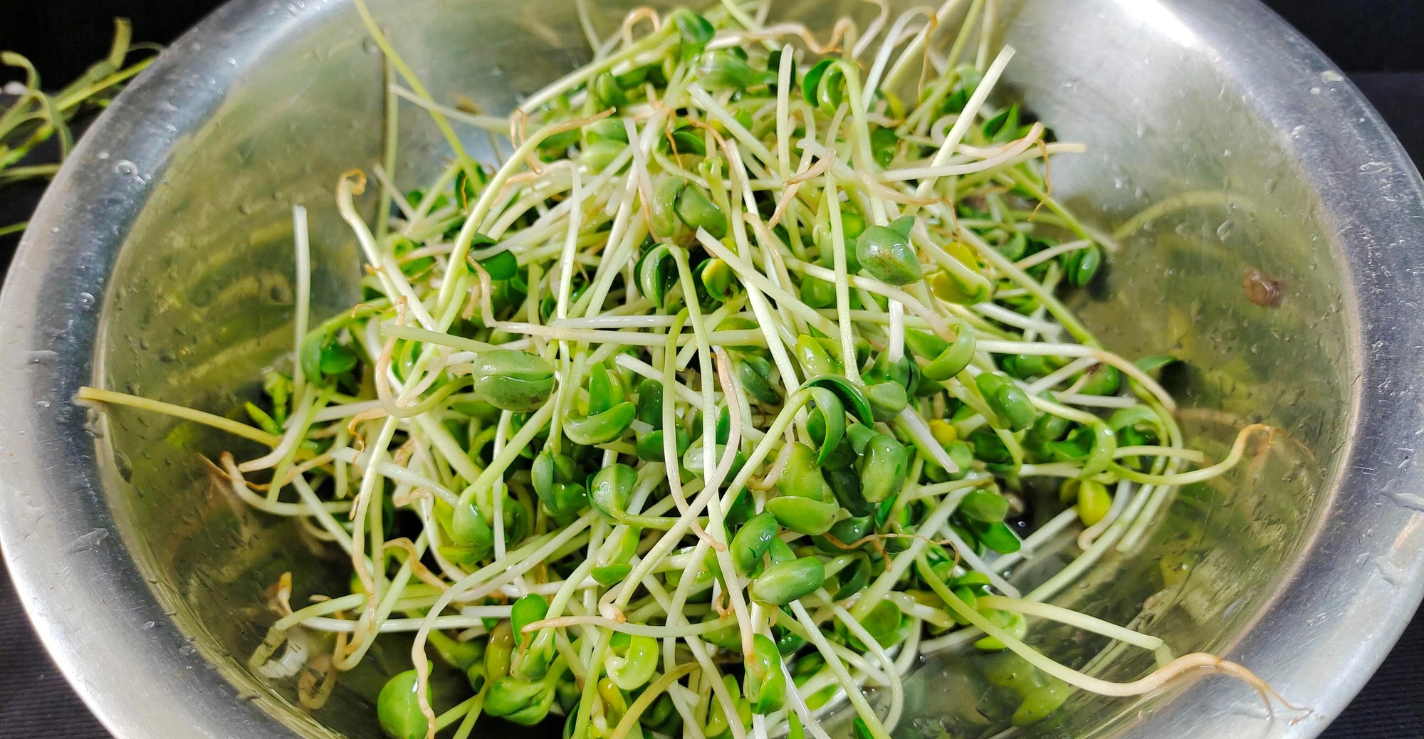 Loại rau "nhân sâm xanh" ít người biết, siêu vitamin, bổ máu, lợi gan, xào thịt bò cực giòn ngọt- Ảnh 3.