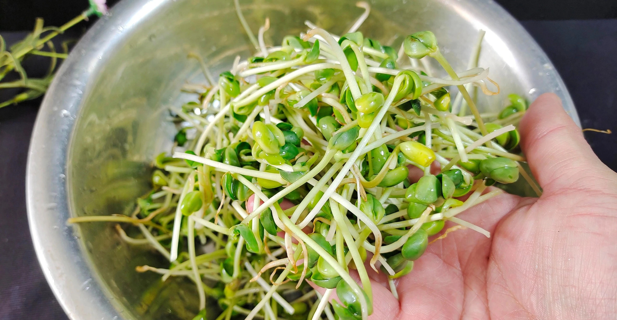 Loại rau "nhân sâm xanh" ít người biết, siêu vitamin, bổ máu, lợi gan, xào thịt bò cực giòn ngọt- Ảnh 5.