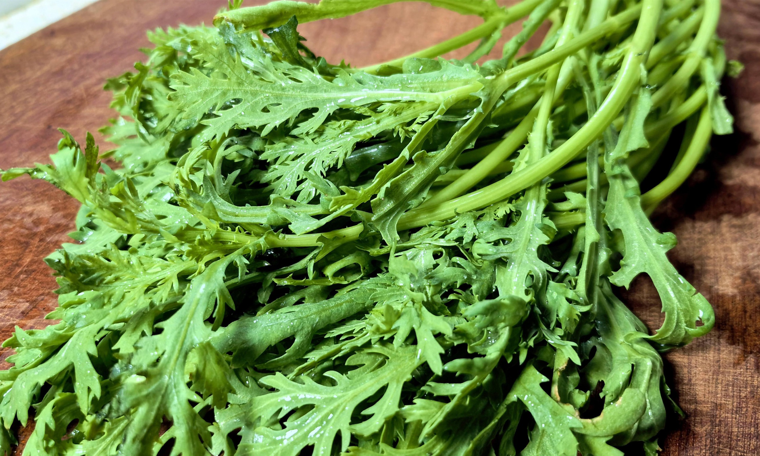 Loại rau "hoàng đế", ăn vào mùa xuân, thanh nhiệt gan, dễ ngủ, cải thiện nhan sắc, xào vẹm cực thơm- Ảnh 1.