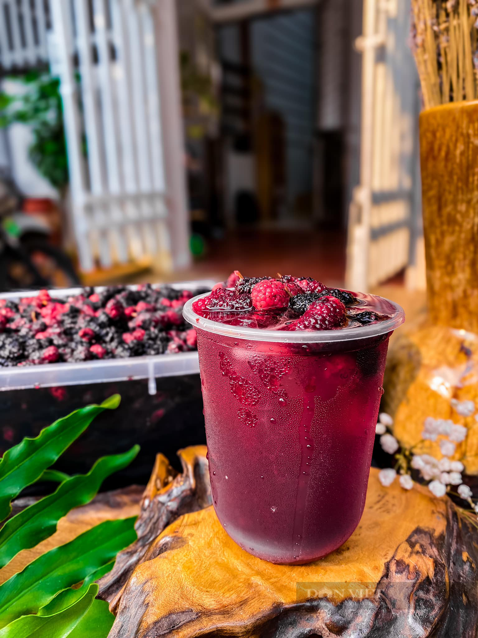 Làm nước giải khát cực chất bằng loại quả mùa hè ngon ngọt, tốt cho phổi, bổ cho tim- Ảnh 3.