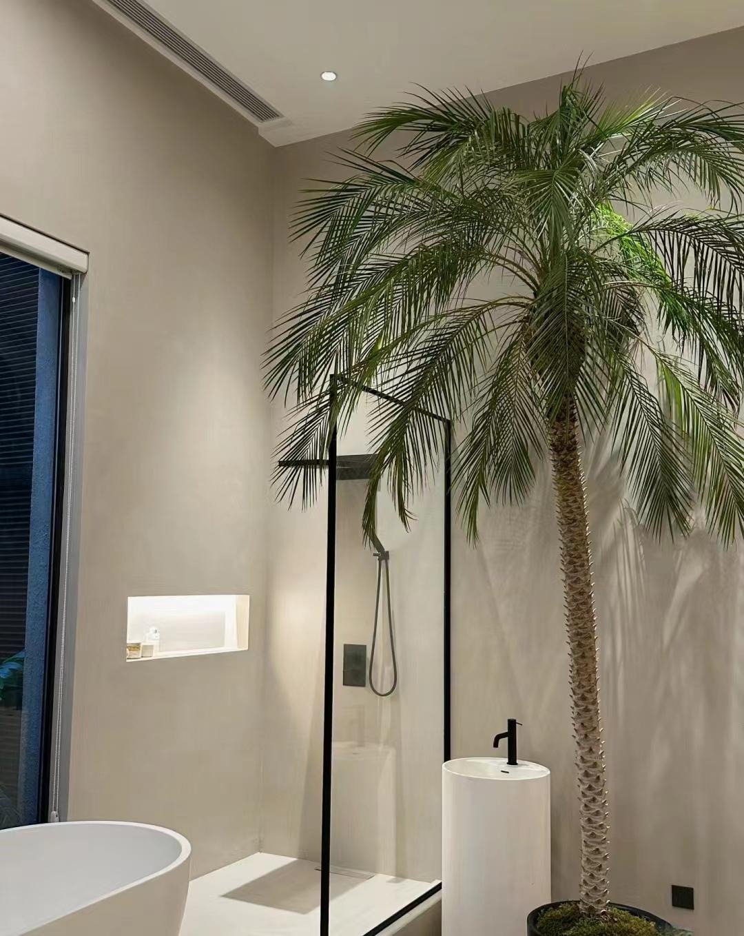 "Lên đời" phòng khách với cây cảnh cao cấp, sang chảnh, cải thiện phong thủy, mang lại niềm vui- Ảnh 15.