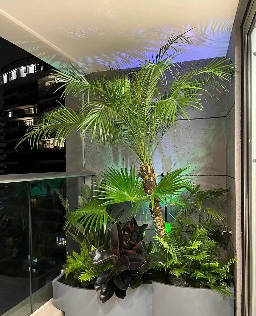 "Lên đời" phòng khách với cây cảnh cao cấp, sang chảnh, cải thiện phong thủy, mang lại niềm vui- Ảnh 14.