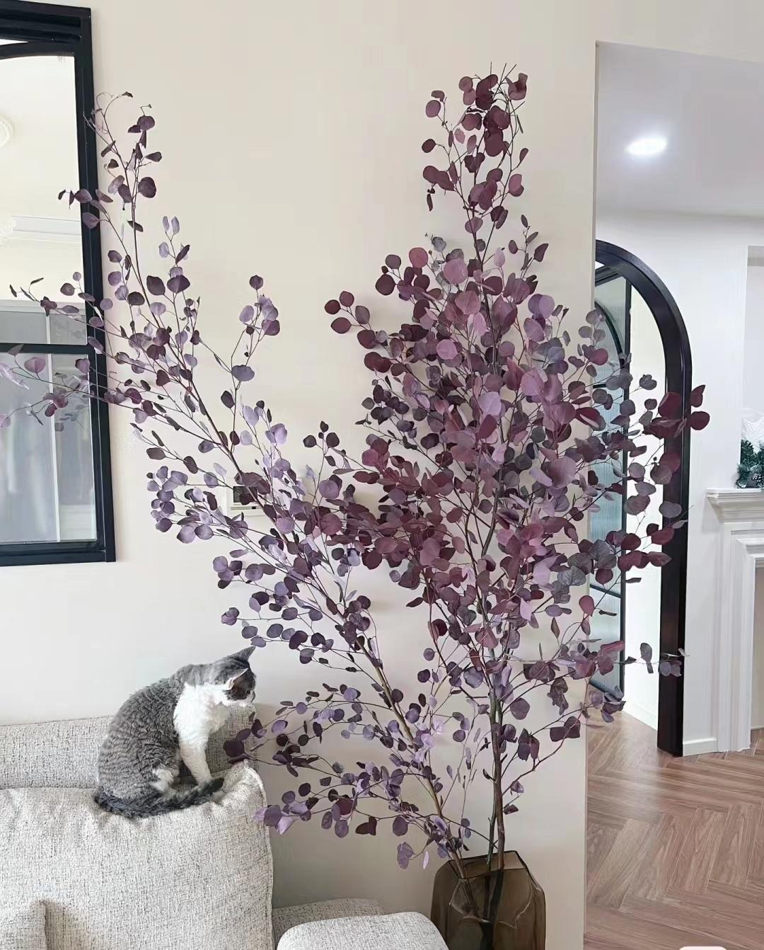 Cây cảnh độc lạ 
