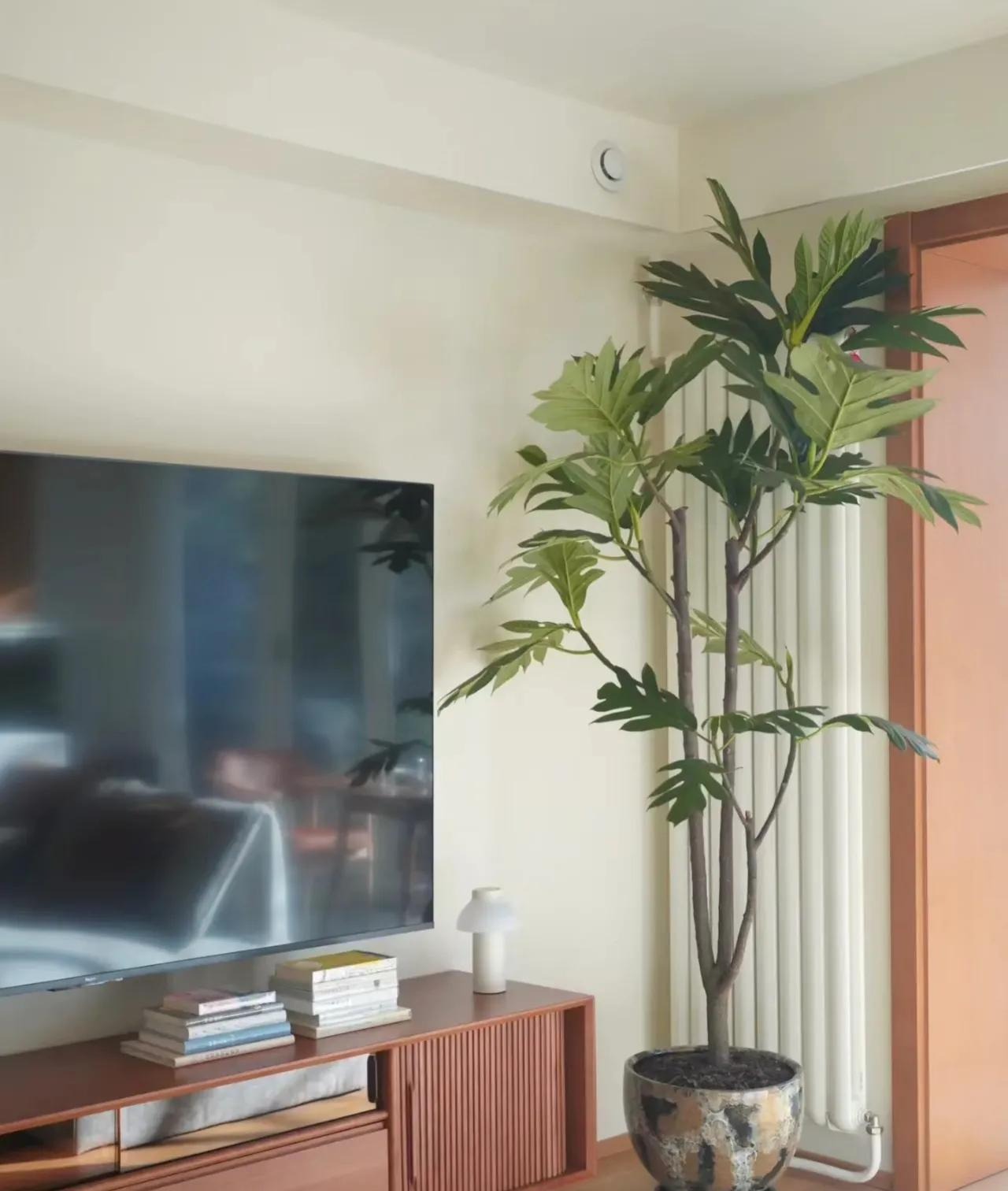 Cây cảnh độc lạ 
