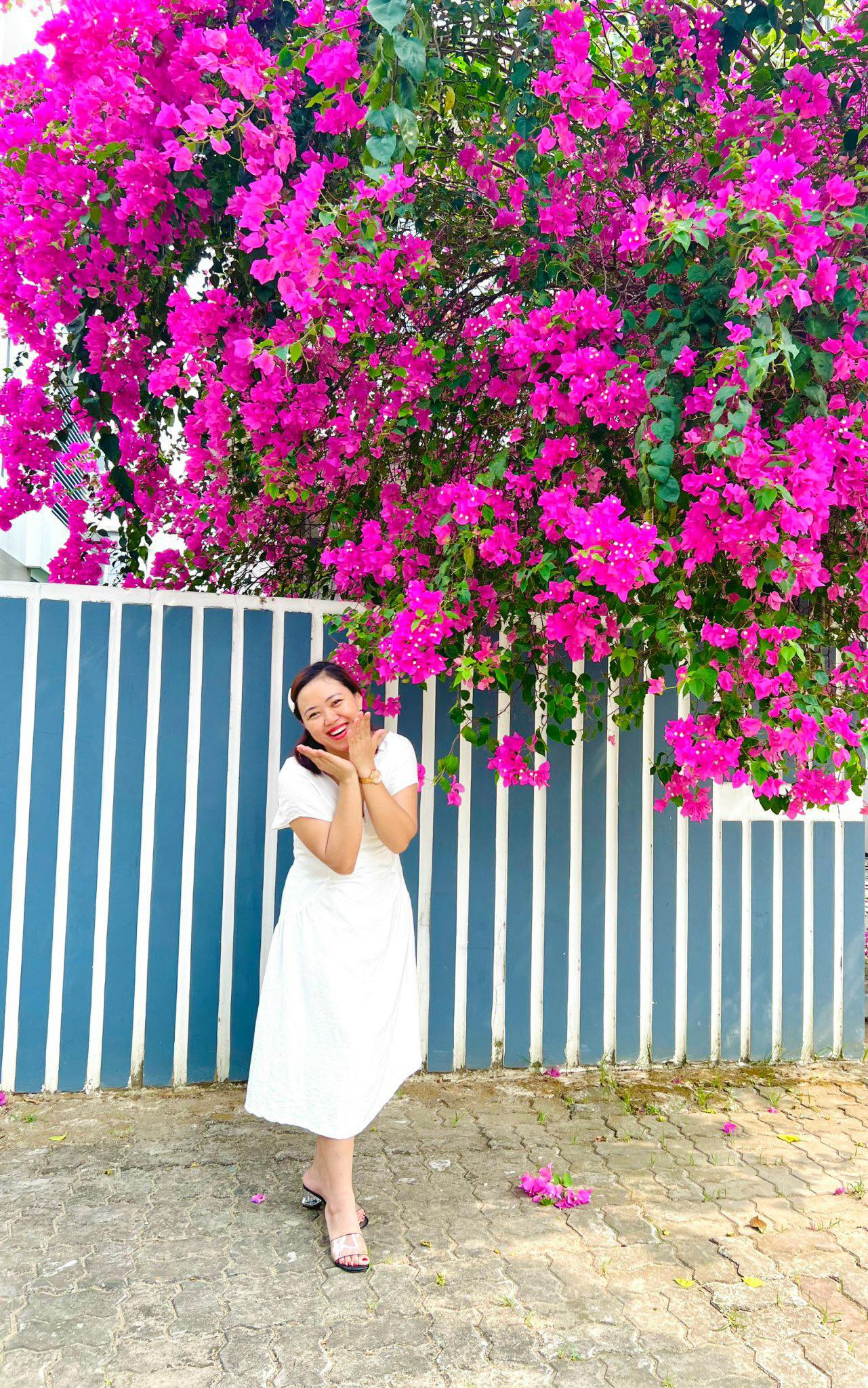 Loại lá đắng, ít người biết, có tác dụng giảm mỡ máu, tiểu đường, trộn gỏi cá lóc cực ngon - Ảnh 1. Loại lá đắng, ít người biết, có tác dụng giảm mỡ máu, tiểu đường, trộn gỏi cá lóc cực ngon - Ảnh 1.