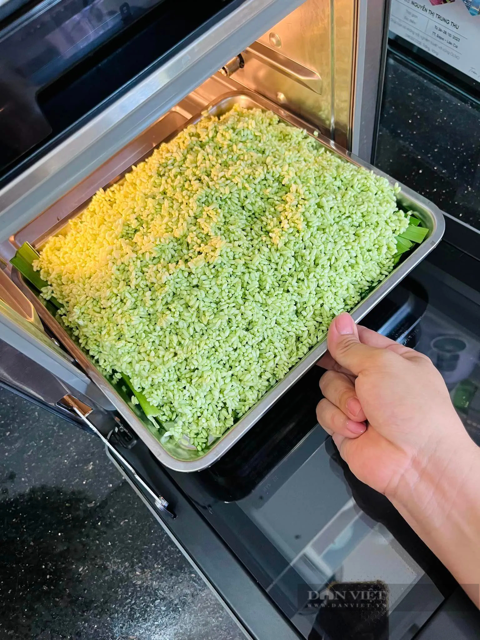 Loại lá "thần dược" của sức khỏe và sắc đẹp, chữa bệnh tiểu đường, nấu xôi thơm ngon, tươi đẹp- Ảnh 6. Loại lá "thần dược" của sức khỏe và sắc đẹp, chữa bệnh tiểu đường, nấu xôi thơm ngon, tươi đẹp- Ảnh 6.