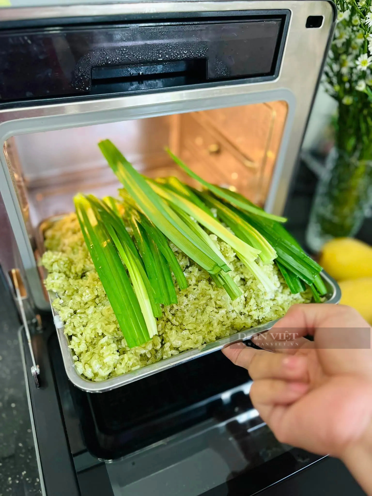 Loại lá "thần dược" của sức khỏe và sắc đẹp, chữa bệnh tiểu đường, nấu xôi thơm ngon, tươi đẹp- Ảnh 8. Loại lá "thần dược" của sức khỏe và sắc đẹp, chữa bệnh tiểu đường, nấu xôi thơm ngon, tươi đẹp- Ảnh 8.