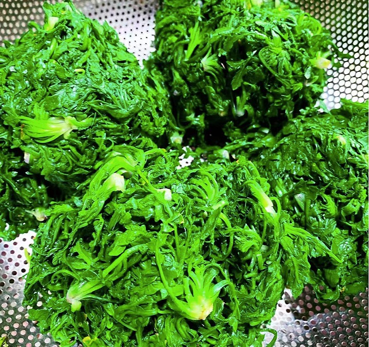 Tháng 3 Âm lịch, ăn loại rau dại này giúp cải thiện thị lực, tăng cường cơ bắp, làm sủi cảo cực ngon- Ảnh 5.