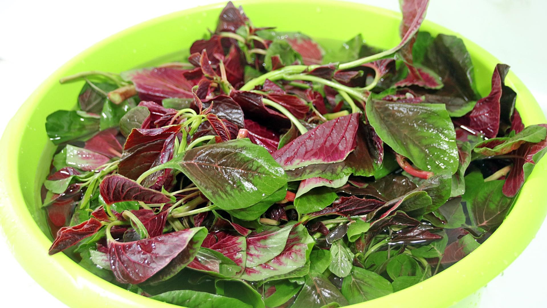 Loại rau có axit folic gấp 46 lần dưa chuột, ăn nhiều bổ máu, tốt xương, trộn chua cay ngon tuyệt- Ảnh 6.