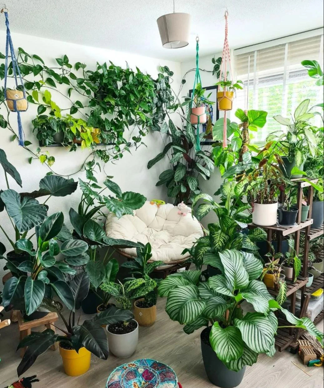 Người xưa nói: "Trồng cây cảnh ở 3 nơi, hoa héo, người ốm, tài lộc thất thoát"- Ảnh 9.