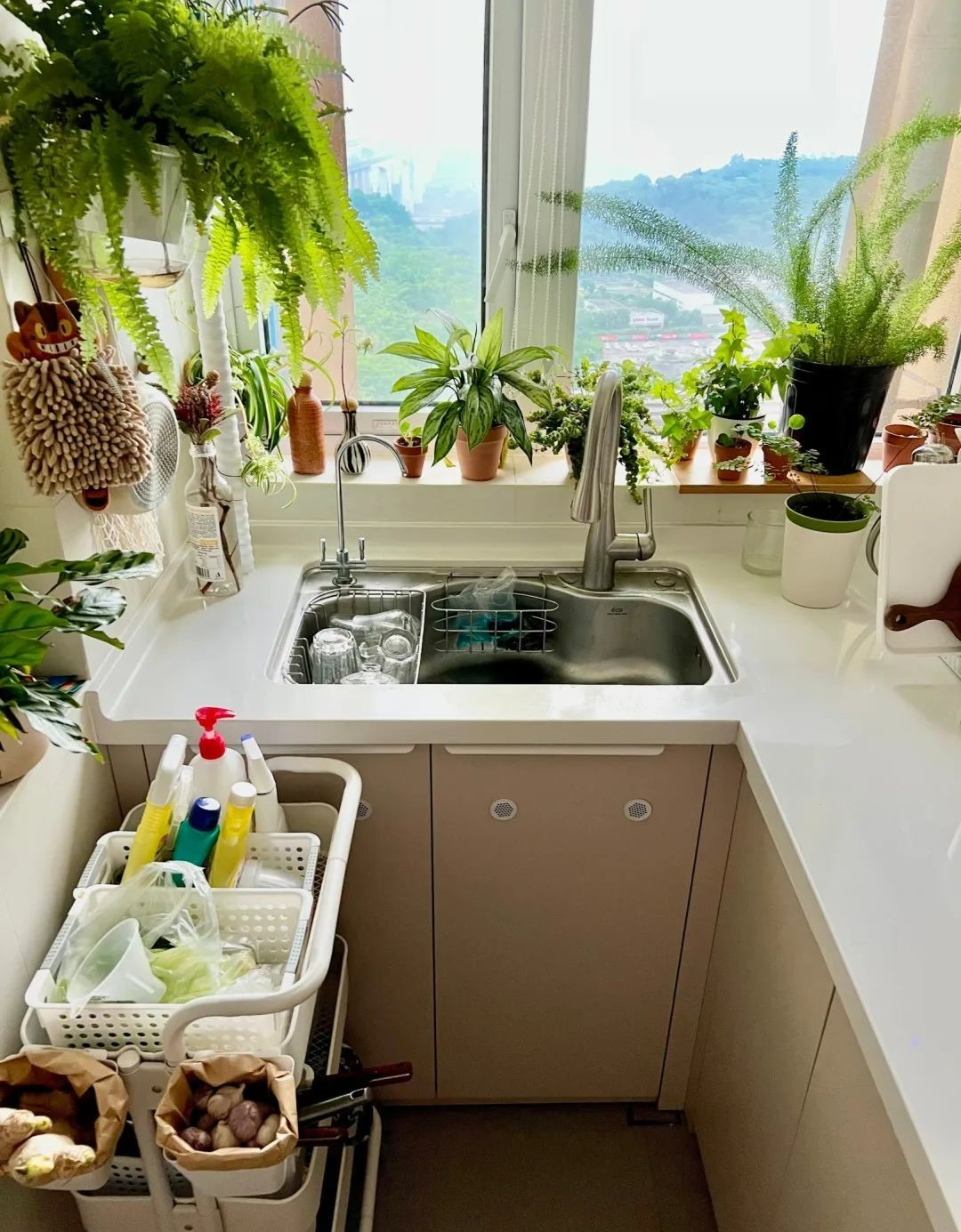 Người xưa nói: "Trồng cây cảnh ở 3 nơi, hoa héo, người ốm, tài lộc thất thoát"- Ảnh 8.