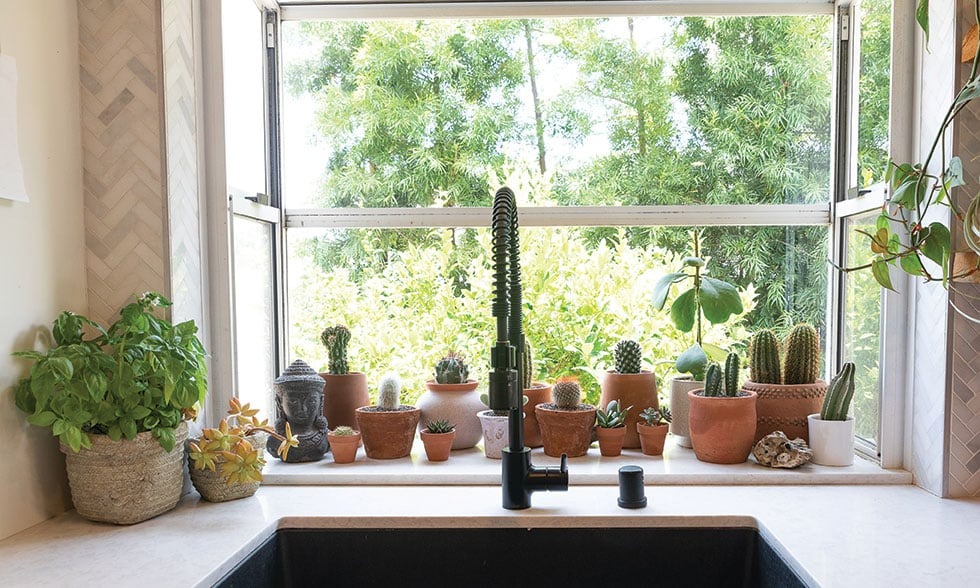 Người xưa nói: "Trồng cây cảnh ở 3 nơi, hoa héo, người ốm, tài lộc thất thoát"- Ảnh 7.