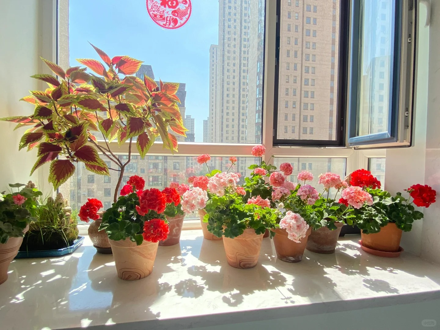 Người xưa nói: "Trồng cây cảnh ở 3 nơi, hoa héo, người ốm, tài lộc thất thoát"- Ảnh 2.