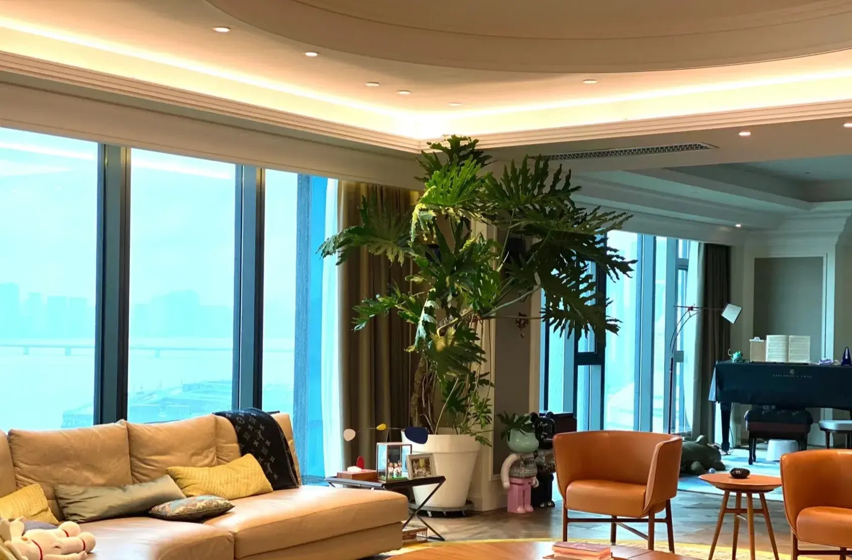 Nhà giàu thích trồng cây cảnh cát tường, lá "tay Phật",  dáng rồng bay, gom tài lộc, đón phước lành- Ảnh 7.