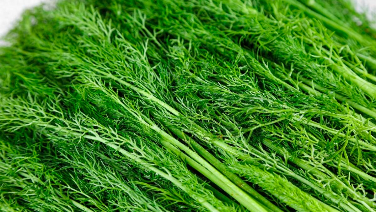 Loại rau bé nhỏ chứa cả kho dinh dưỡng, canxi gấp 5 lần trứng, đừng coi là gia vị, nấu kiểu gì cũng ngon- Ảnh 1.