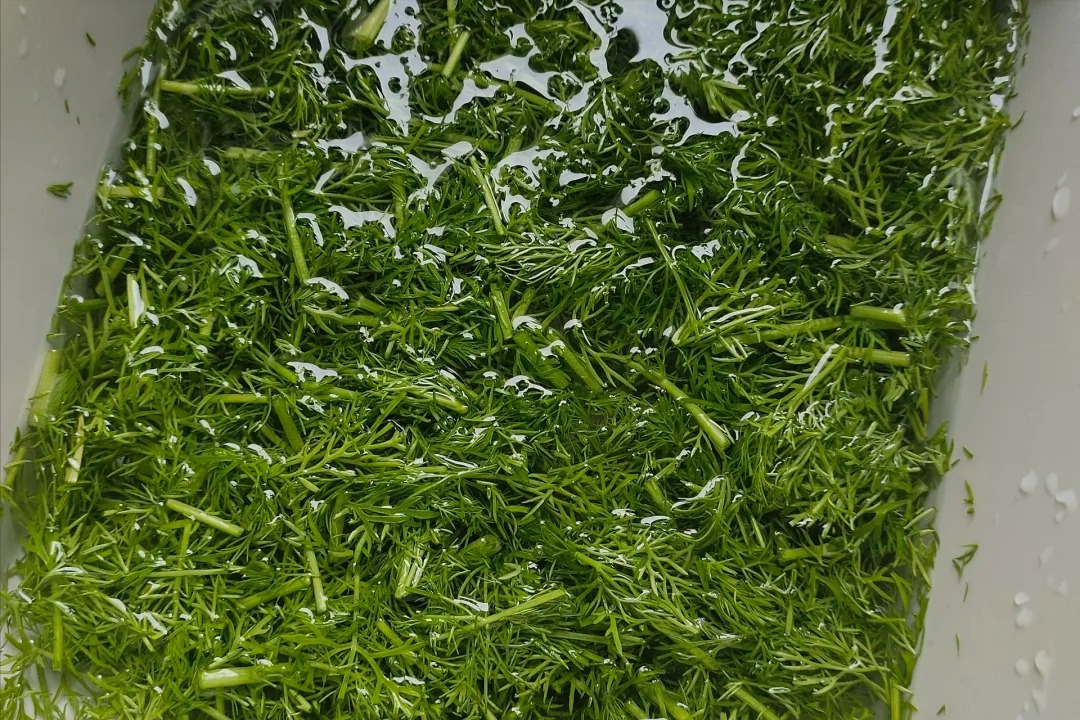 Loại rau bé nhỏ chứa cả kho dinh dưỡng, canxi gấp 5 lần trứng, đừng coi là gia vị, nấu kiểu gì cũng ngon- Ảnh 4.