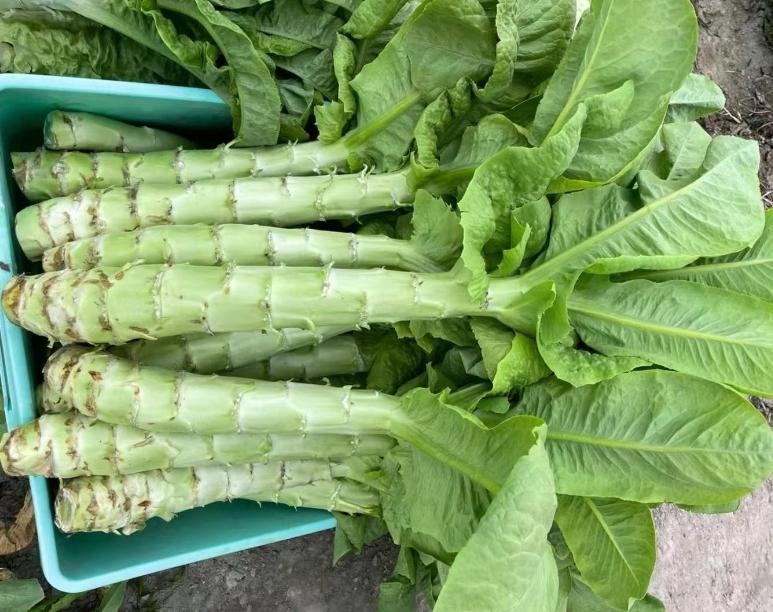 2 loại rau cực thơm, còn giúp làm sạch ruột, loại bỏ chất béo, xào hay trộn đều tươi ngon, sảng khoái- Ảnh 8.